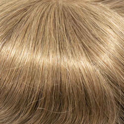 08/27T light chestnut brown