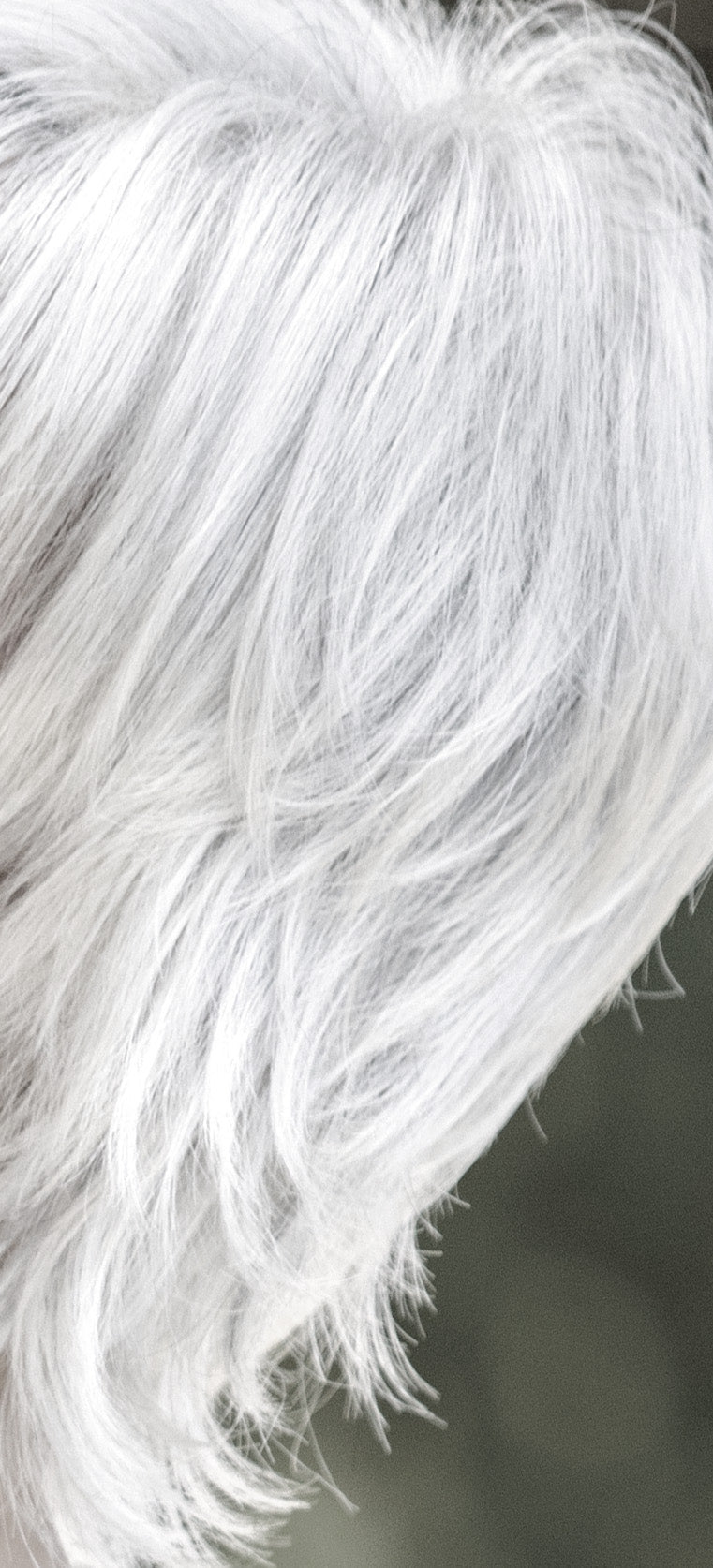 CHAMPAGNE SILVER