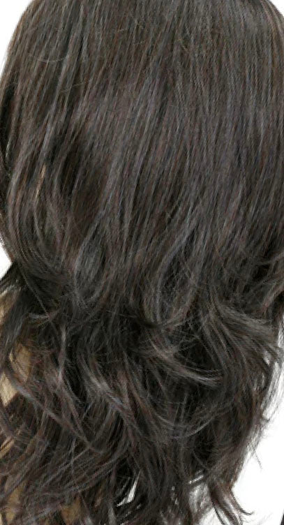 chocolate smoke dark brown chestnut and slate blue highlights