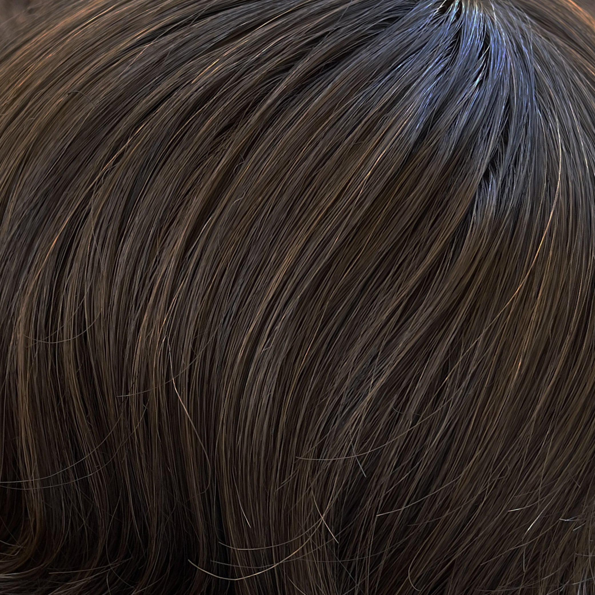 H10 Light Chestnut Brown