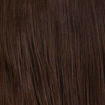 r6 brown chestnut