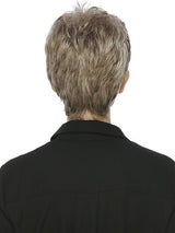 R17/101 Ash Brown/Platinum Blonde Blend