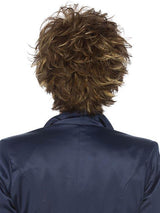 R8/26H Golden Brown w/Golden Blonde Highlights