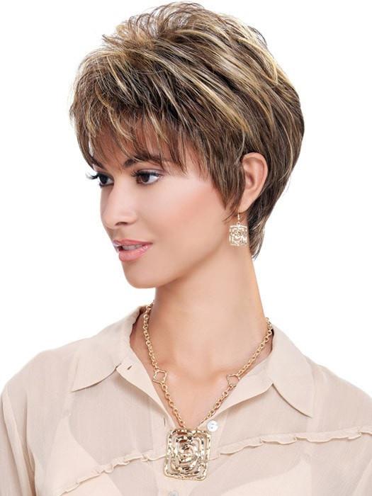 R8/26H Golden Brown w/Golden Blonde Highlights